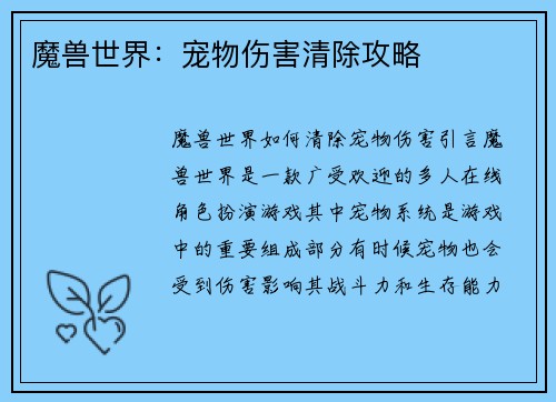 魔兽世界：宠物伤害清除攻略